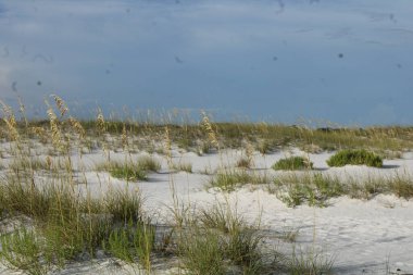 Fort Pickens Sahili Fort Pickens Eyalet Parkı Pensacola Florida.