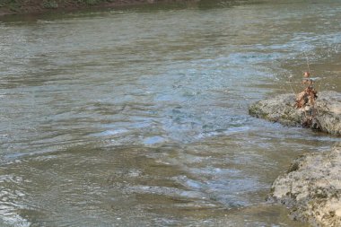 Inwood WV 'nin kırsal dağlarındaki dere kenarındaki manzara.. 