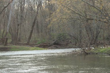 Landscape Around Back Creek River In The Rural Mountains Of Inwood WV.  clipart