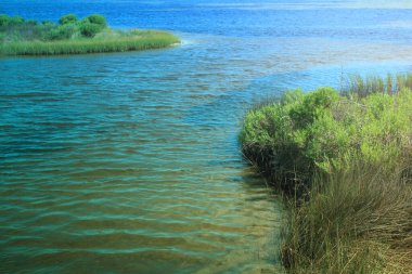 Pensacola 'daki Büyük Göl Parkı 13 Temmuz 2024. 