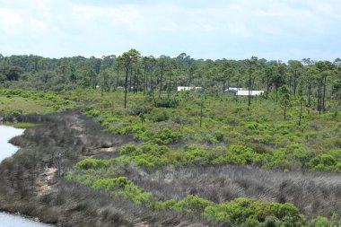 Pensacola 'daki Büyük Göl Parkı 13 Temmuz 2024. 
