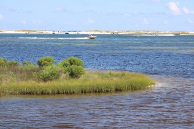 Big Lagoon State Park In Pensacola Florida USA July 13th 2024.  clipart