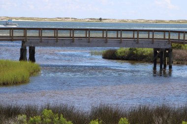 Big Lagoon State Park In Pensacola Florida USA July 13th 2024.  clipart