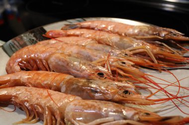 Ekstra büyük karides buğulanmış ve servis edilmeye hazır.. 