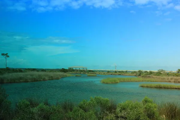 stock image Big Lagoon State Park In Pensacola Florida USA July 13th 2024. 