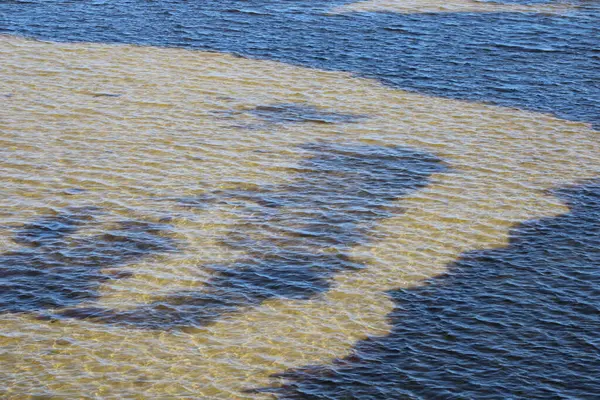 stock image Big Lagoon State Park In Pensacola Florida USA July 13th 2024. 