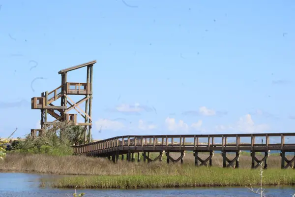 stock image Big Lagoon State Park In Pensacola Florida USA July 13th 2024. 