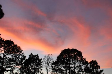 Akşam Gökyüzündeki Günbatımı Ufukta pembe, turuncu, mor ve mavi renk tonlarıyla. 