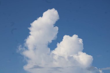 Florida, ABD 'de parlak güneşli bir günde Parlak Beyaz Kabarık Cumulus Bulutları. 