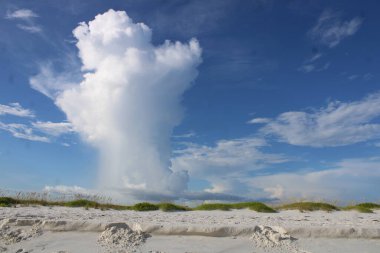 Florida, ABD 'de parlak güneşli bir günde Parlak Beyaz Kabarık Cumulus Bulutları. 