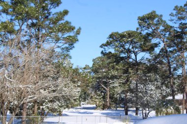 Pensacola Florida 'da kar yağışı 2025' te nadir görülen bir kar fırtınası sırasında