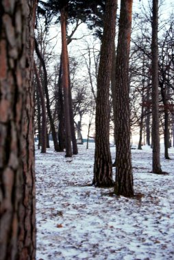 Karlı bir parkın ortasında bir bankta.