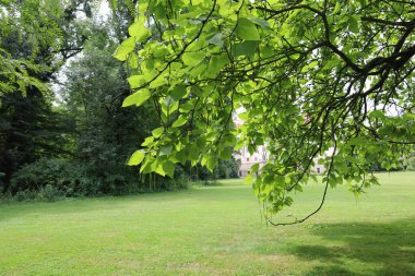 Kokoz şehrinin parkı