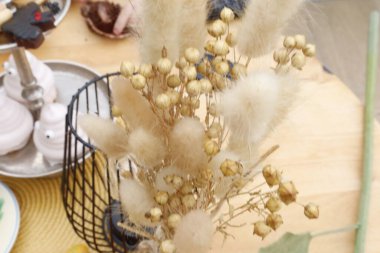 Güzel botanik fotoğrafı, doğal duvar kağıdı.