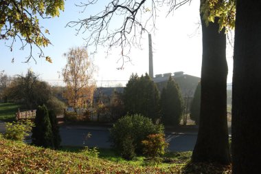 Sonbahar mevsiminde şehir parkında güzel bir sonbahar.