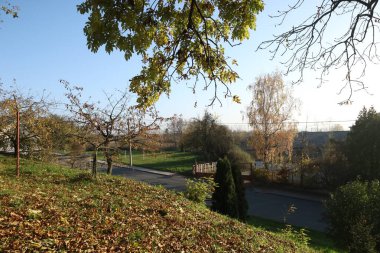 Renkli yaprakları olan güzel sonbahar manzarası