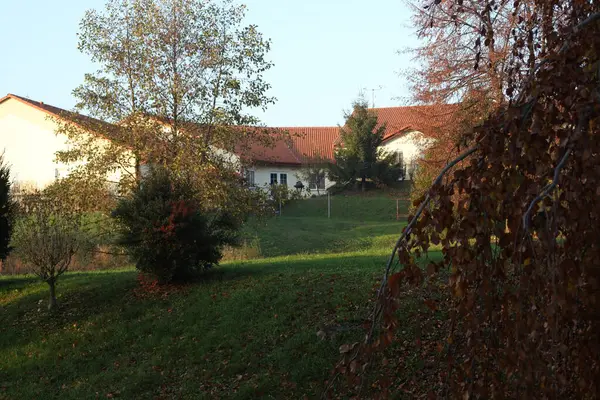 Parkın güzel manzarası