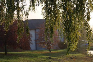 Alman Muensterland 'inde sonbahar