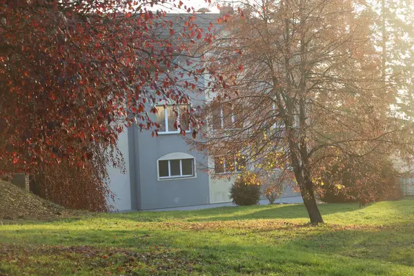 parkta kırmızı ve sarı ev