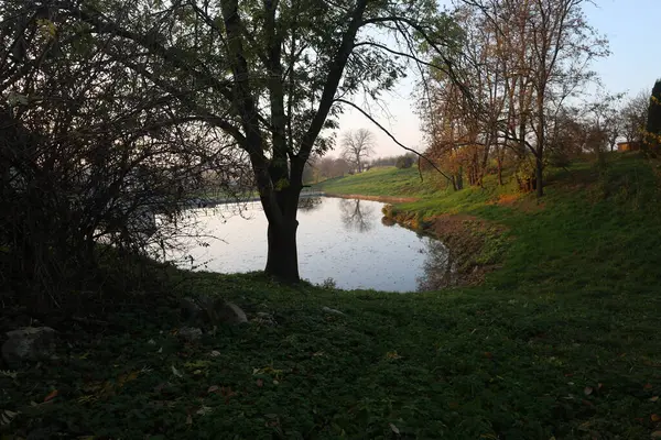 Ormandaki güzel nehir.