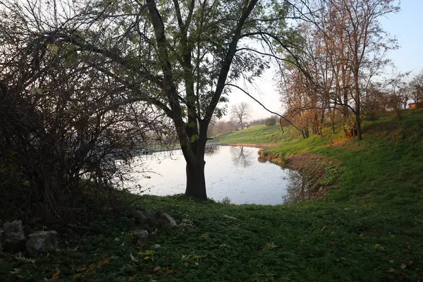 Parkta sonbahar manzarası. Sonbahar sezonu