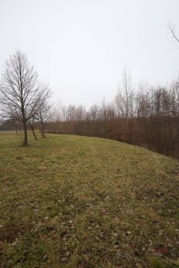 Ağaçlar ve ormanlarla dolu sonbahar manzarası