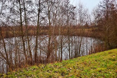 Yeşil çimenleri ve ağaçları olan güzel bir göl görüntüsü.