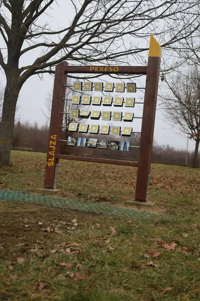 Ormandaki tahta bir tabelanın dikey görüntüsü.