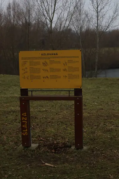 Almanya 'da bir parktaki tahta tabelanın dikey görüntüsü.