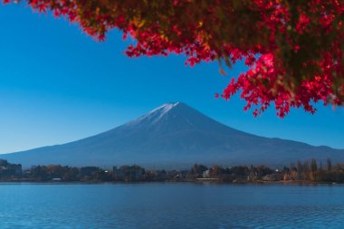 Fuji dağ manzaralı Japonya 'da bir gezgin.