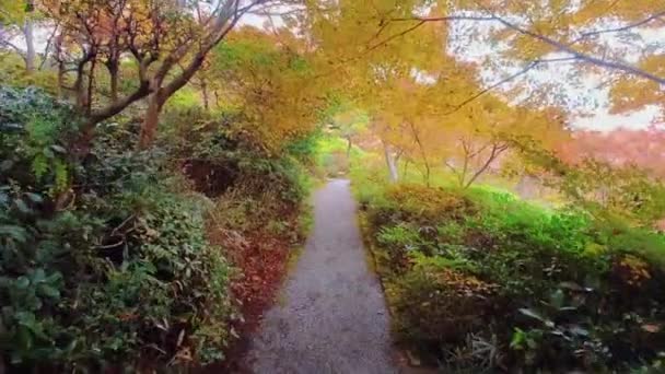 Spacery Wśród Jesiennych Kolorów Szlaku Turystycznym Kierunku Japonii — Wideo stockowe