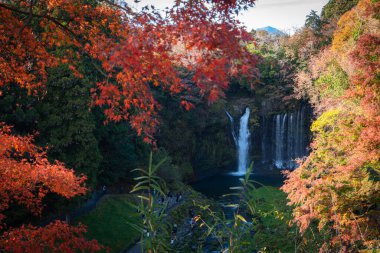 Sonbahar renkleri Japonya ormanlarındaki şelaleleri oluşturur.