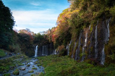 Sonbahar renkleri Japonya ormanlarındaki şelaleleri oluşturur.
