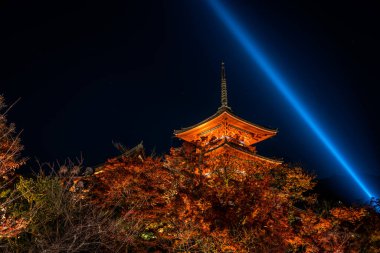 Japon pagodası, sonbahar sezonunda karşı karşıya.