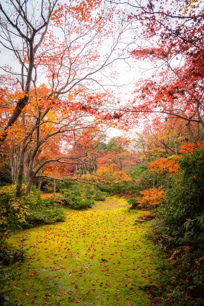 autumn season in japan nature background