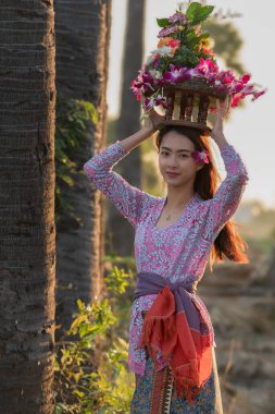 Bali kostümlü kadın. Endonezya vatandaşı. Sabah pirinç tarlasında yürüyor.