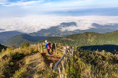 Chiang Mai, Tayland - 2 Kasım 2022 - Tayland 'ın Chiang Mai kentindeki Doi Inthanon Dağı' nda Kew Mae Pan Doğa Yolu 'nda ziyaretçiler yürüyüş yapıyor.