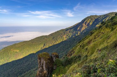 Tayland 'ın kuzey sıradağlarının manzarası, Tayland' ın Chiang Mai kentindeki Doi Inthanon Dağı 'ndaki Kew Mae Pan Doğa Yolu' nun tepesinden görüldü.