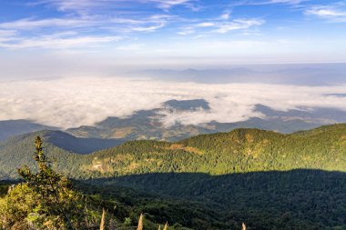 Tayland 'ın kuzey sıradağlarının manzarası, Tayland' ın Chiang Mai kentindeki Doi Inthanon Dağı 'ndaki Kew Mae Pan Doğa Yolu' nun tepesinden görüldü.