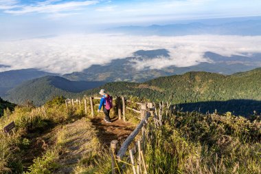 Chiang Mai, Tayland - 2 Kasım 2022 - Tayland 'ın Chiang Mai kentindeki Doi Inthanon Dağı' nda Kew Mae Pan Doğa Yolu 'nda ziyaretçiler yürüyüş yapıyor.