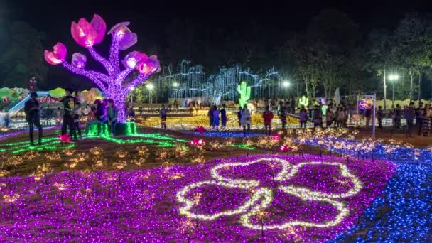 2022年12月22日タイ チェンマイ 毎年12月に開催されるチェンマイ フラワーフェスティバルでは 世界中から様々な種類の美しい花を見ることができます — ストック動画