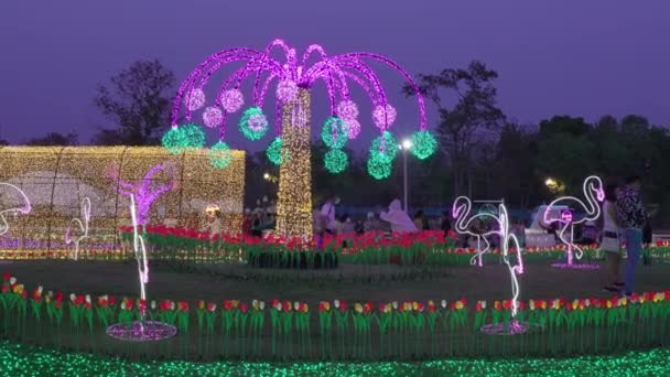 Chiang Mai Thailand December 2022 People Enjoy Beautiful Night Light — Video