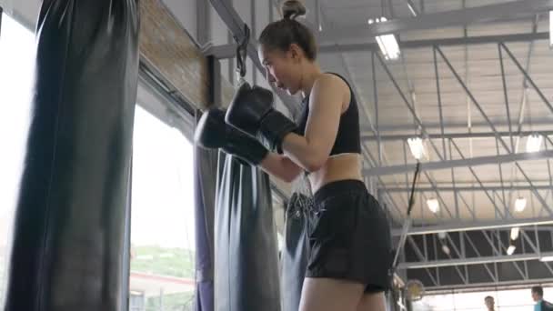 在一个阳光灿烂的日子里 一位有魅力的亚洲女拳击手在当地一家健身房的大窗户边 用一个黑色的打斗袋练习她的拳打脚踢 — 图库视频影像