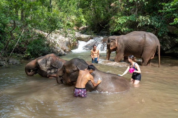 Chiang Mai Tajlandia Maja 2023 Słonie Turyści Kąpiący Słonie Przy — Zdjęcie stockowe