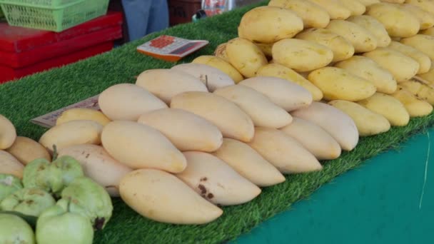 チェンマイ 果物や野菜 マンゴー ジャガイモ ライムなどのバナナは タイのチェンマイの地元農家市場であるGreenheart市場で販売されています — ストック動画