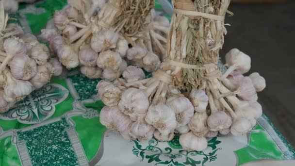 Chiang Mai Thailand May 2023 Several Heads Garlics Sale Local — Stock Video