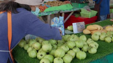 Chiang Mai, Tayland 28 Mayıs 2023 Büyük boy guava ve diğer tropikal meyveleri satan yerli kadın çiftçi Chiang Mai, Tayland 'daki yerel çiftçi pazarında