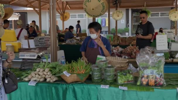Chiang Mai Thailand May 2023 Local Farmers Selling Fruits Vegetables — Stock Video