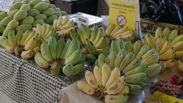 Chiang Mai Thailandia Maggio 2023 Banane Manghi Sono Vendita Mercato — Video Stock