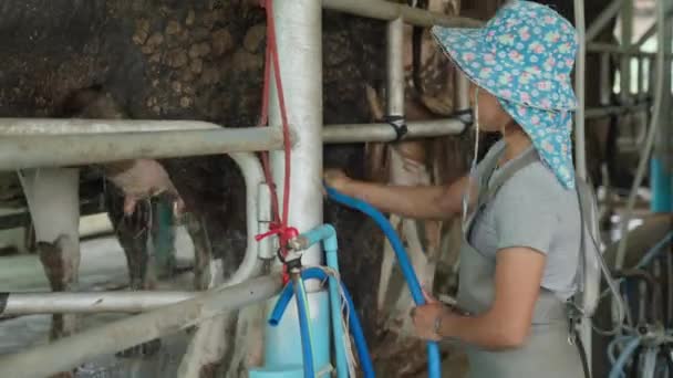 Chiang Mai Thailand Juli 2023 Mjölkarbetare Som Använder Mjölkmaskin För — Stockvideo